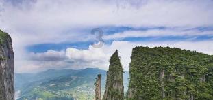 人类应该怎样保护鸟游戏画面