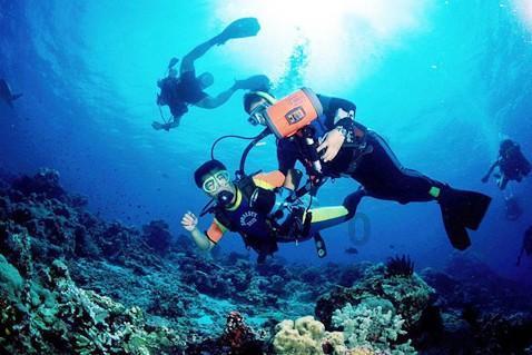 济南市莱芜职业中专参加2023年山东省职业教育和产业人才研究专项课题开题会议